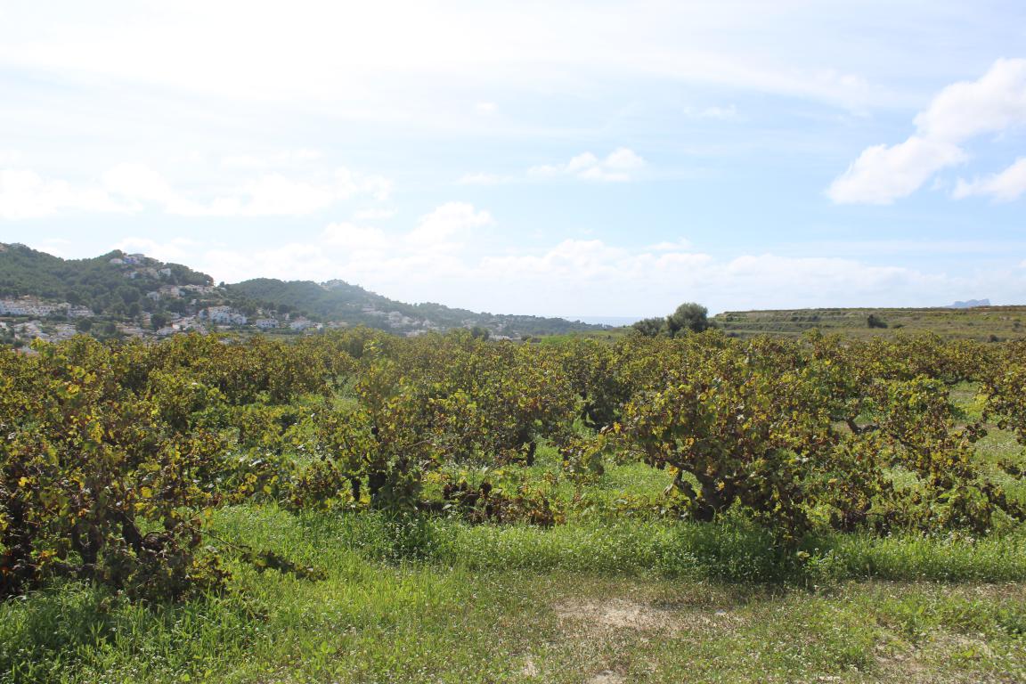 Finca in Moraira 