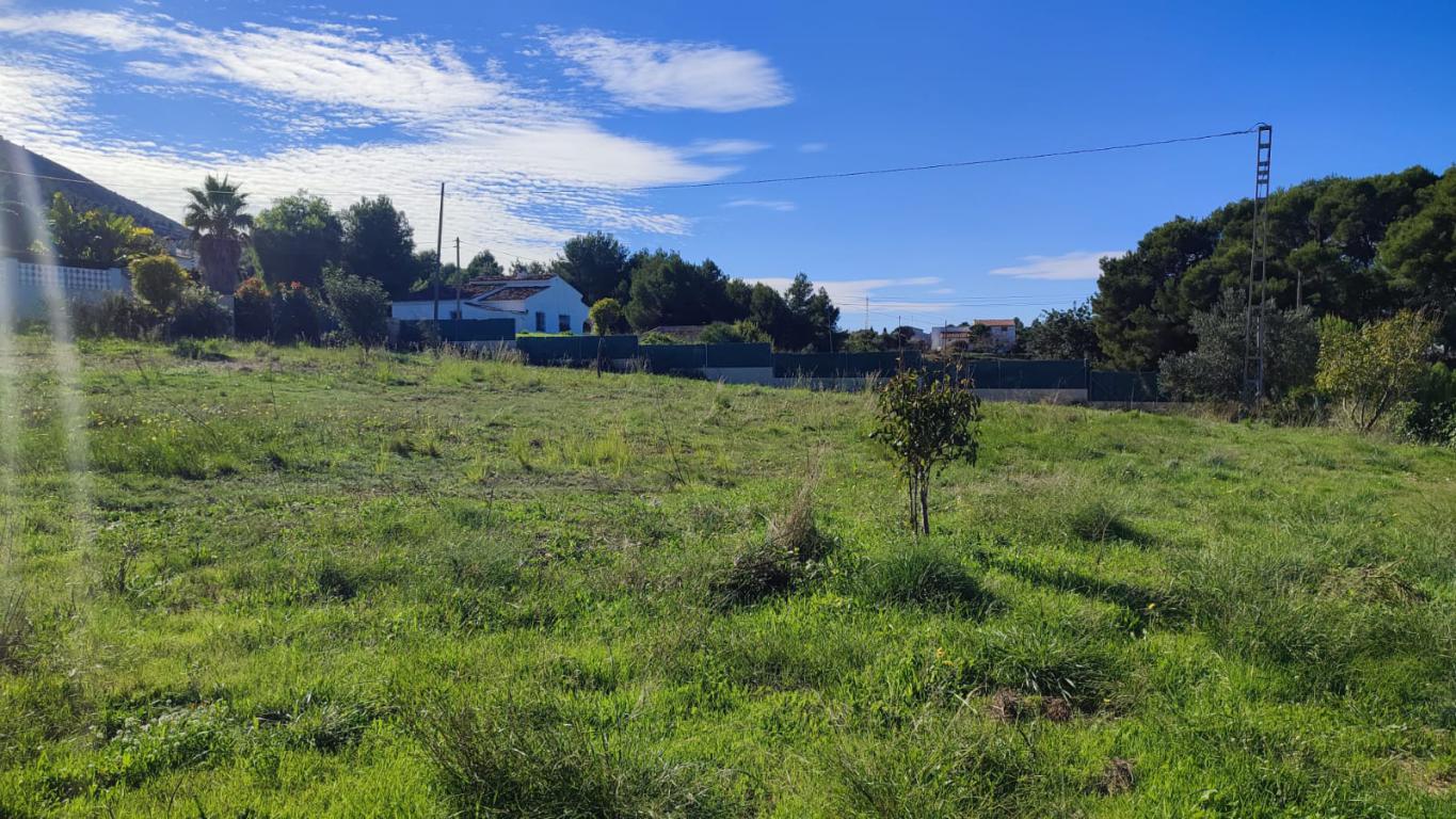 Business in Benitachell 