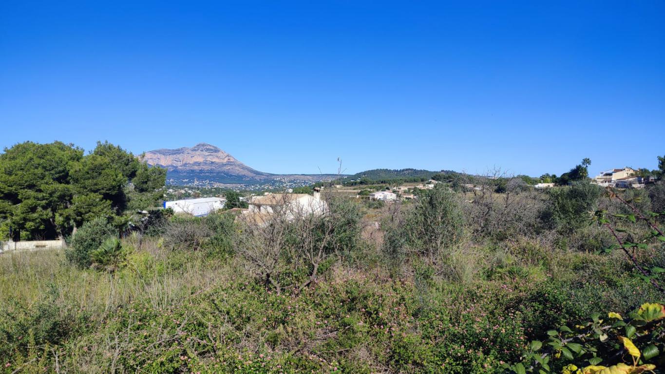 Business in Benitachell 