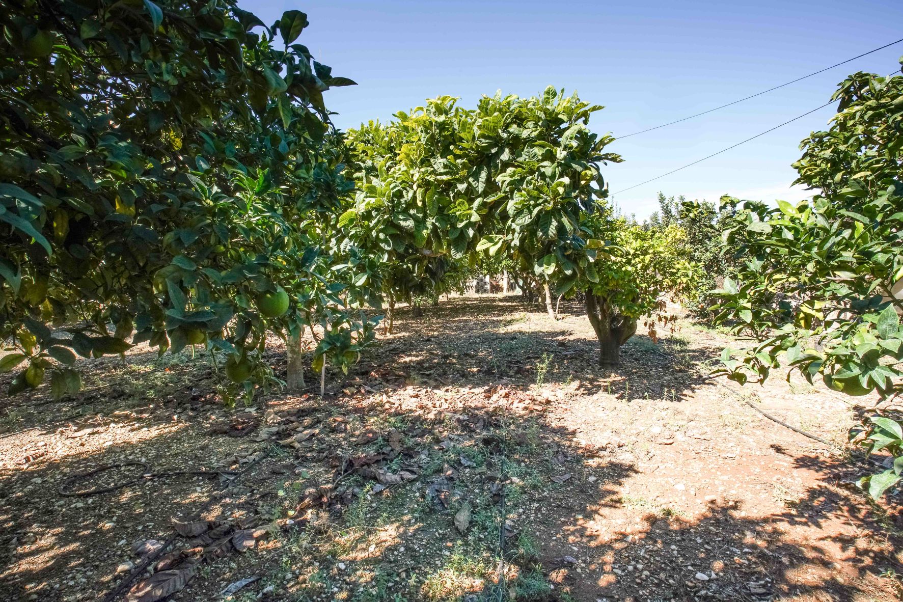 Verkoop. Villa in Javea